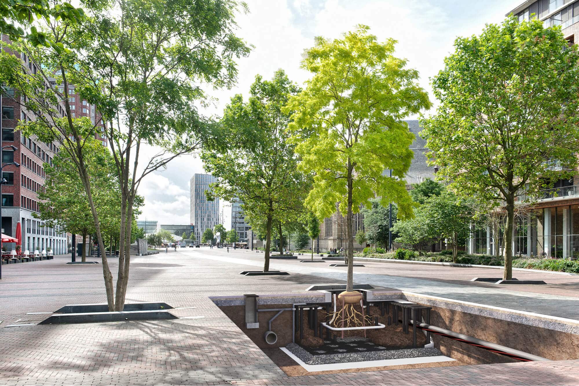 Arborista při práci